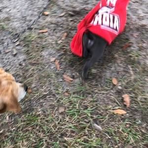 Meet your Posher, Gwen